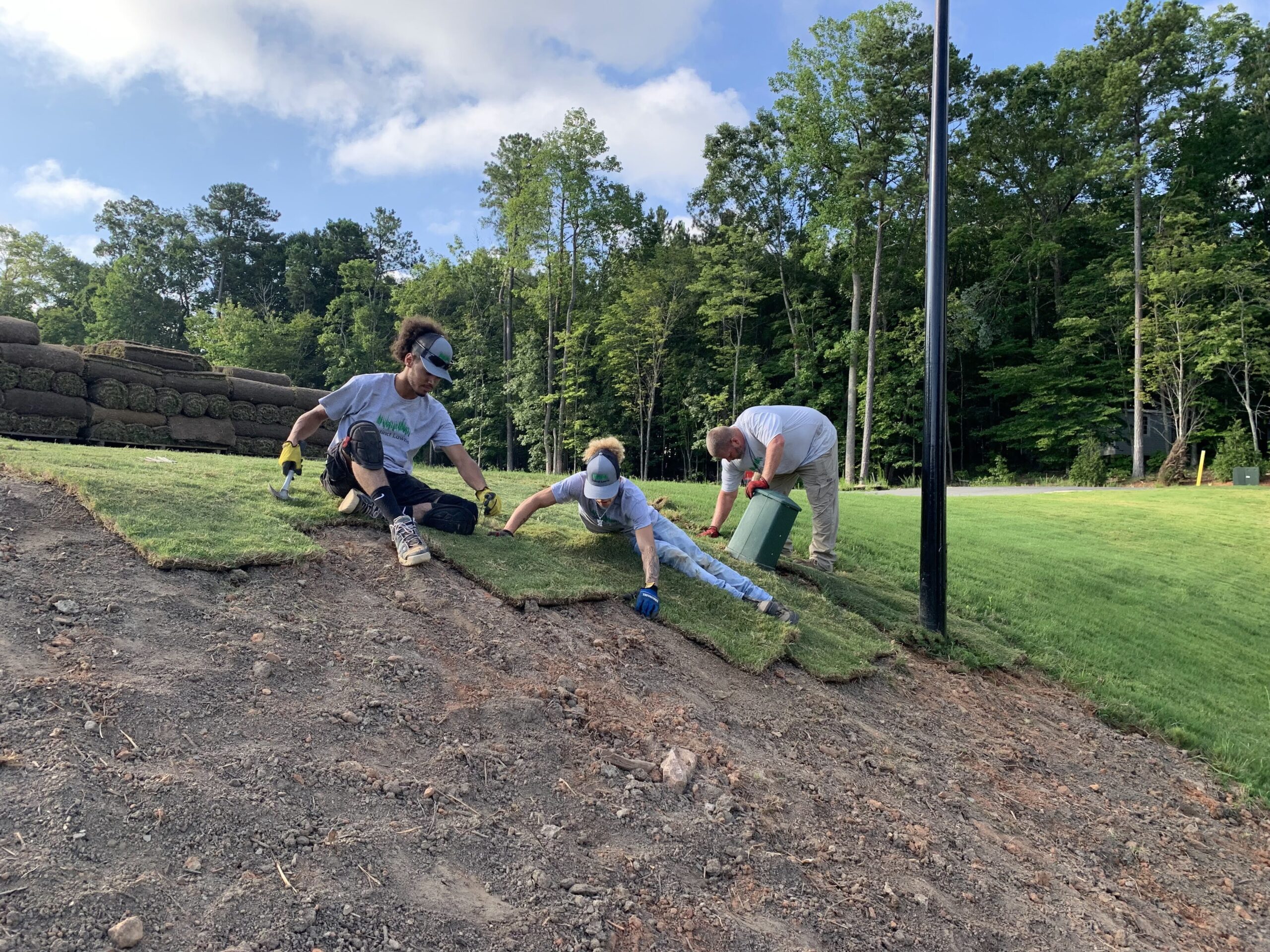 Rolls of fresh sod being laid on a residential lawn