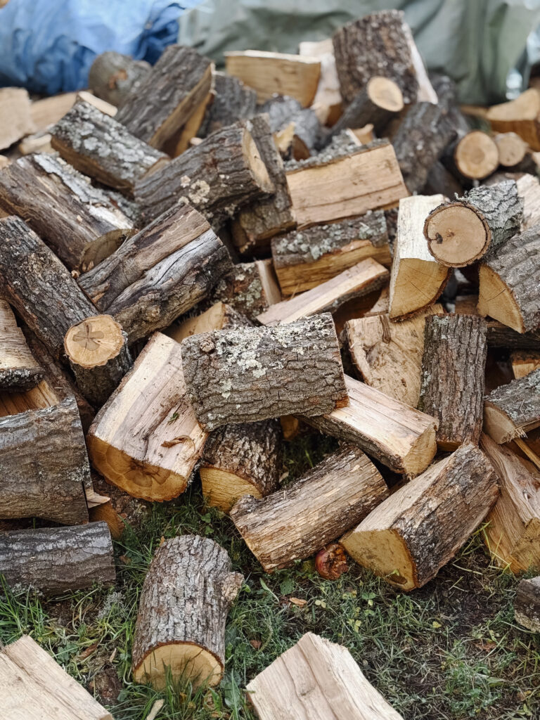Cut tree logs stacked on the ground in a yard